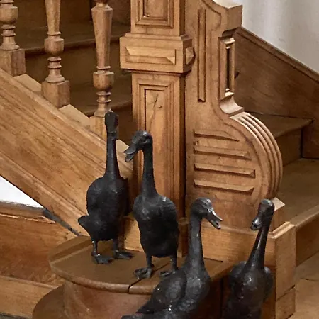 Maison Mokassi * Laloubere