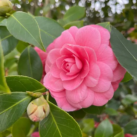 Séjour chez l'habitant Maison Mokassi